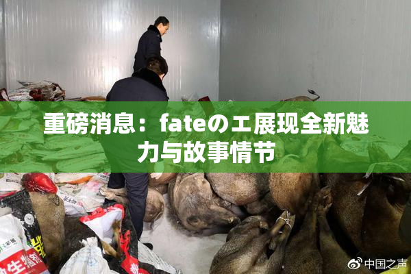 重磅消息：fateのエ展现全新魅力与故事情节