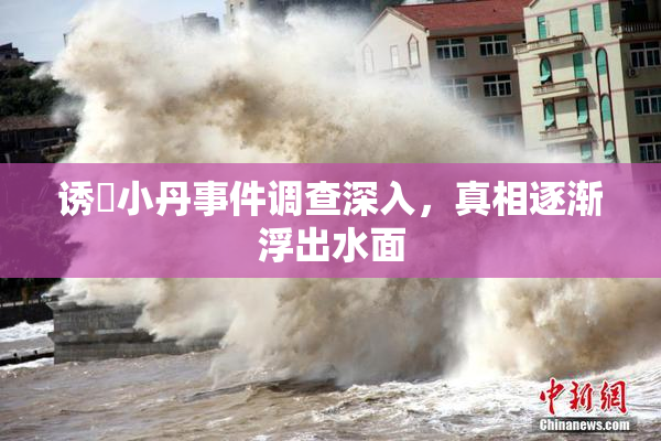 诱奷小丹事件调查深入，真相逐渐浮出水面