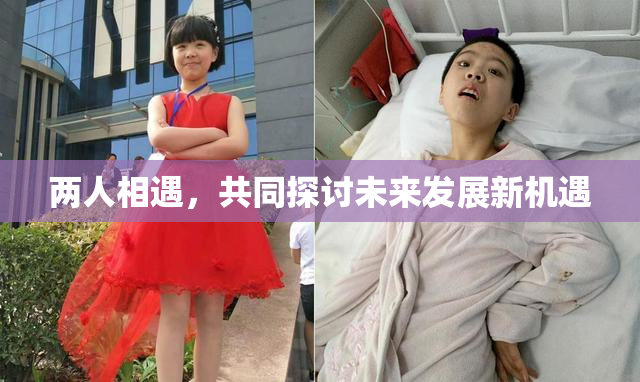 两人相遇，共同探讨未来发展新机遇