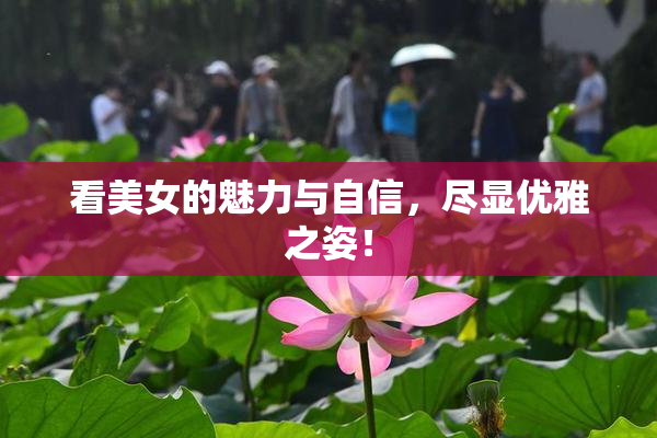 看美女的魅力与自信，尽显优雅之姿！