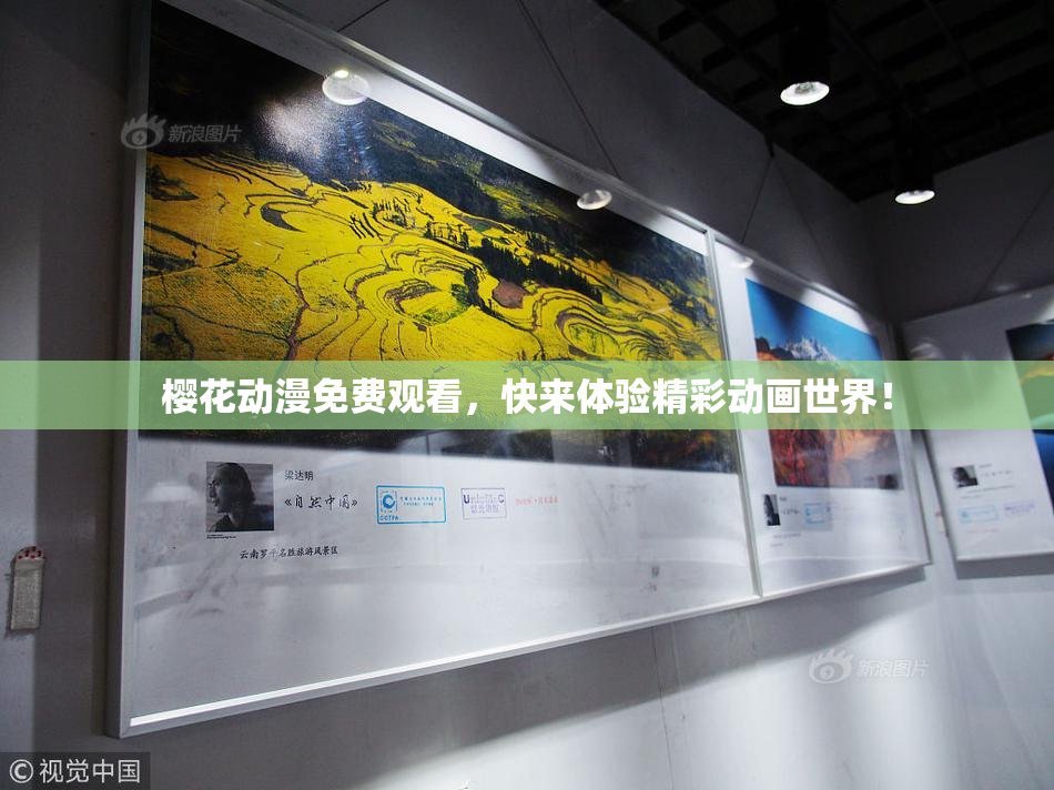 樱花动漫免费观看，快来体验精彩动画世界！