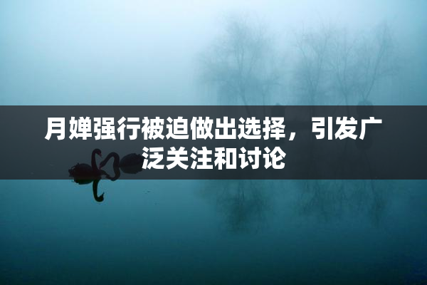 月婵强行被迫做出选择，引发广泛关注和讨论