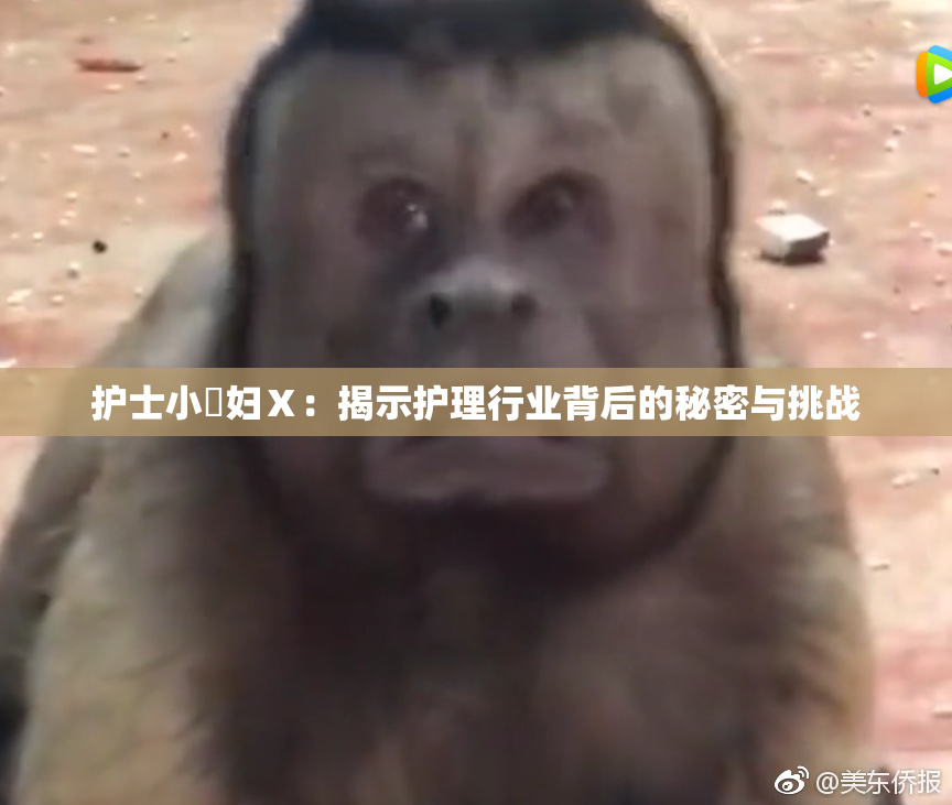 护士小婬妇Ⅹ：揭示护理行业背后的秘密与挑战