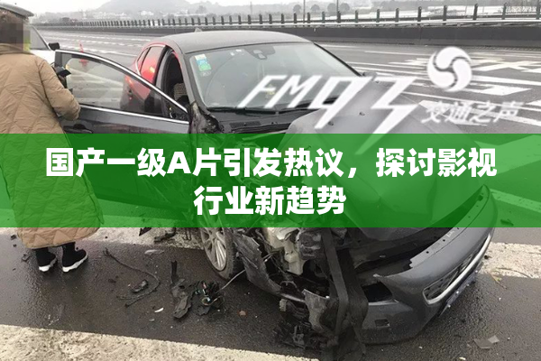 国产一级A片引发热议，探讨影视行业新趋势