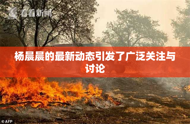 杨晨晨的最新动态引发了广泛关注与讨论