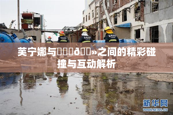 芙宁娜与❌‌‌🐻之间的精彩碰撞与互动解析