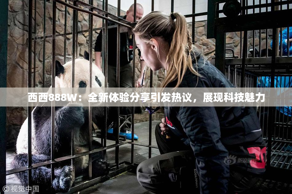西西888W：全新体验分享引发热议，展现科技魅力