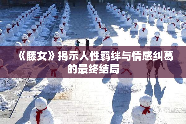 《藤女》揭示人性羁绊与情感纠葛的最终结局