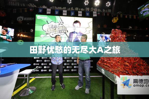 田野忧愁的无尽大A之旅