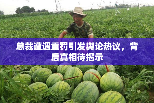 总裁遭遇重罚引发舆论热议，背后真相待揭示