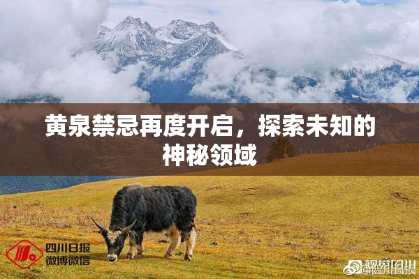 黄泉禁忌再度开启，探索未知的神秘领域