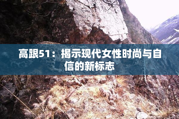 高跟51：揭示现代女性时尚与自信的新标志