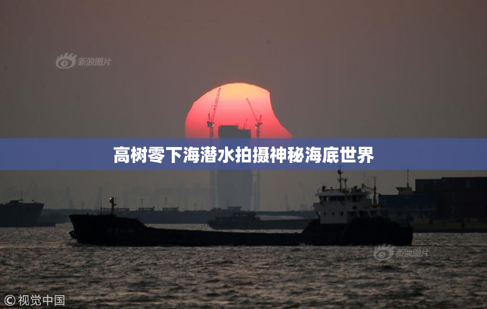 高树零下海潜水拍摄神秘海底世界