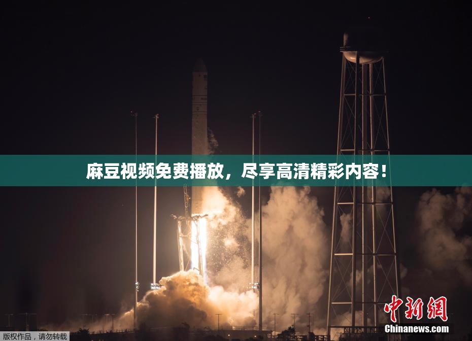 麻豆视频免费播放，尽享高清精彩内容！