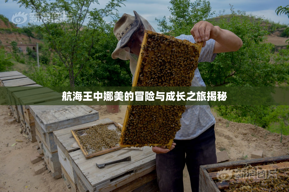 航海王中娜美的冒险与成长之旅揭秘