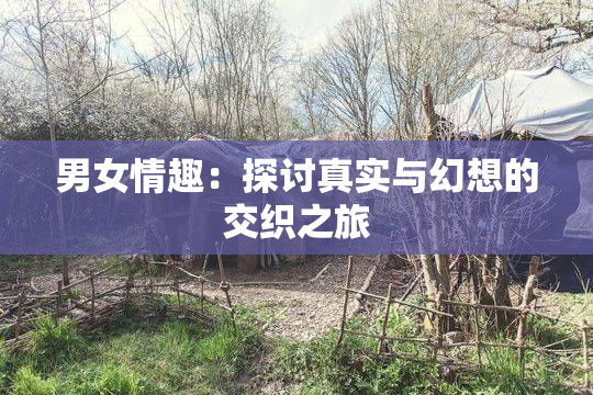 男女情趣：探讨真实与幻想的交织之旅