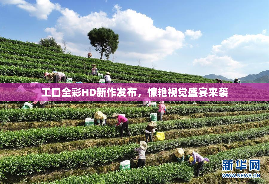 工口全彩HD新作发布，惊艳视觉盛宴来袭