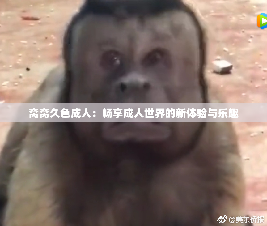 窝窝久色成人：畅享成人世界的新体验与乐趣