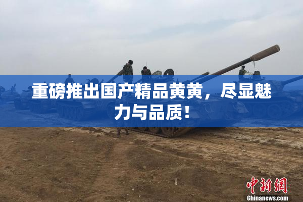 重磅推出国产精品黄黄，尽显魅力与品质！