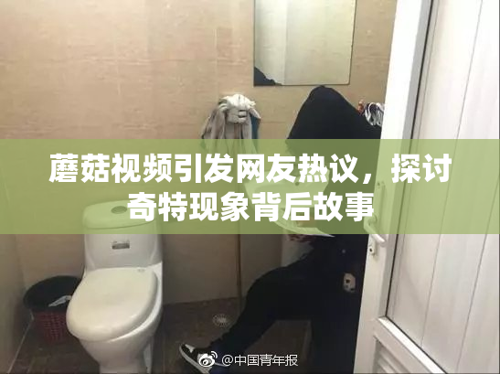 蘑菇视频引发网友热议，探讨奇特现象背后故事