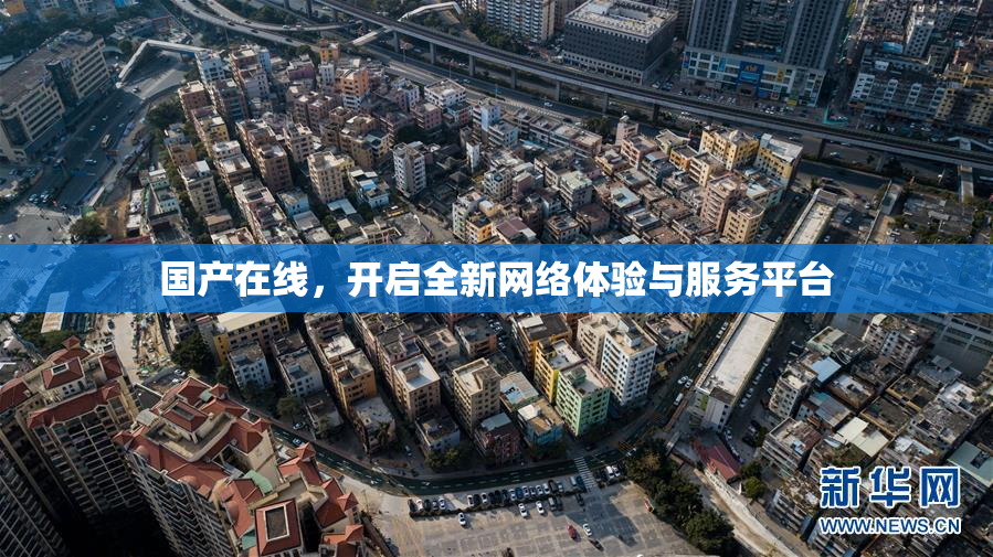 国产在线，开启全新网络体验与服务平台