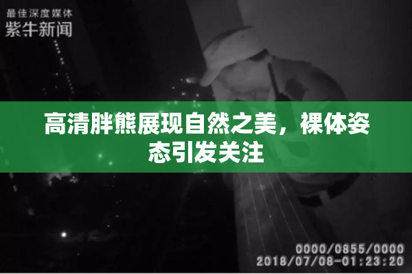 高清胖熊展现自然之美，裸体姿态引发关注