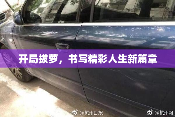 开局拔萝，书写精彩人生新篇章