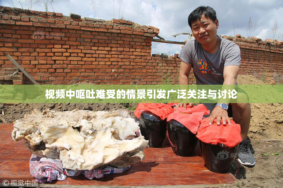 视频中呕吐难受的情景引发广泛关注与讨论