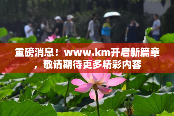 重磅消息！www.km开启新篇章，敬请期待更多精彩内容