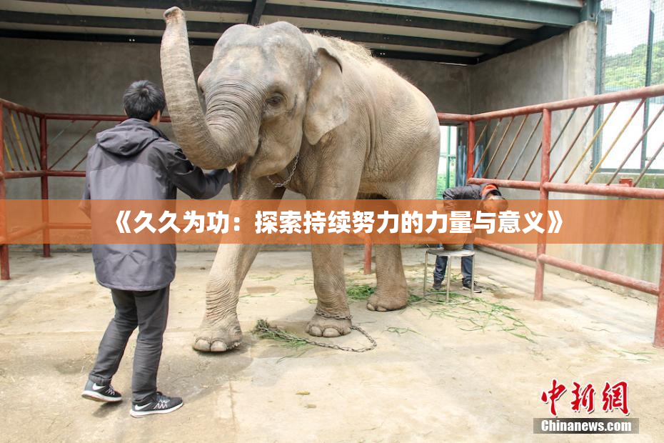 《久久为功：探索持续努力的力量与意义》
