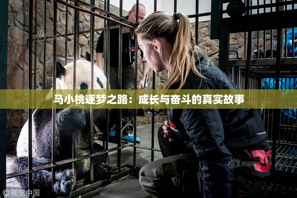 马小桃逐梦之路：成长与奋斗的真实故事
