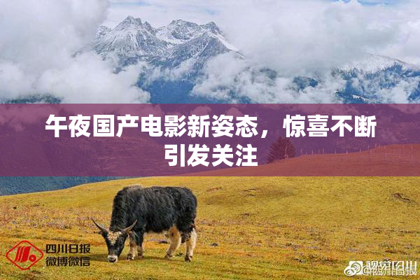 午夜国产电影新姿态，惊喜不断引发关注