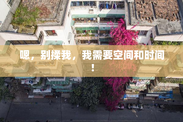 嗯，别揉我，我需要空间和时间！