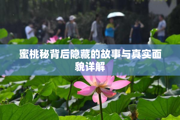蜜桃秘背后隐藏的故事与真实面貌详解
