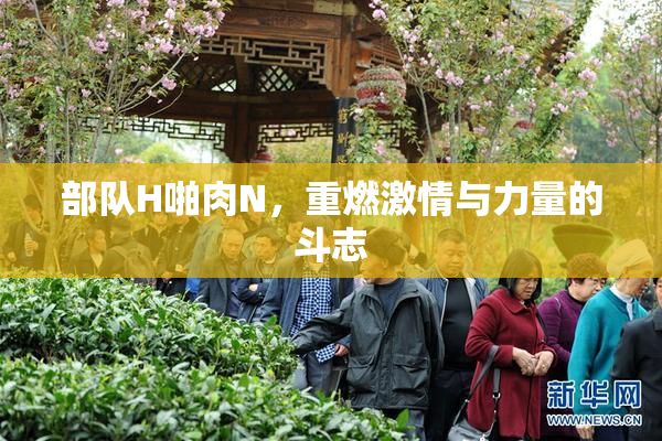部队H啪肉N，重燃激情与力量的斗志