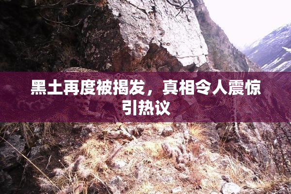 黑土再度被揭发，真相令人震惊引热议