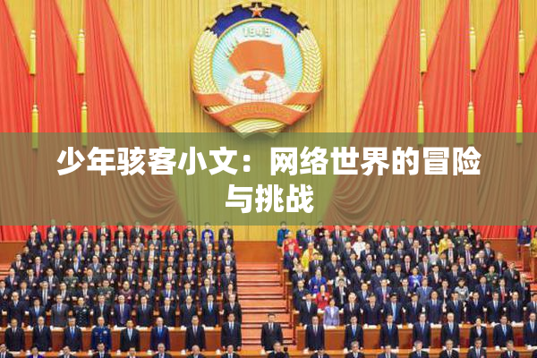 少年骇客小文：网络世界的冒险与挑战