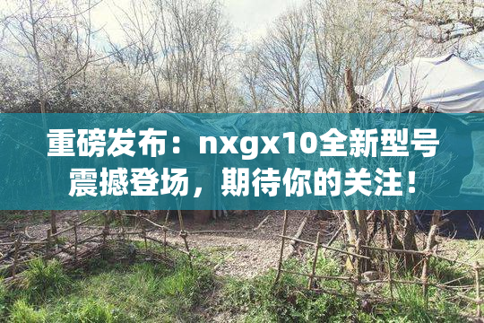 重磅发布：nxgx10全新型号震撼登场，期待你的关注！