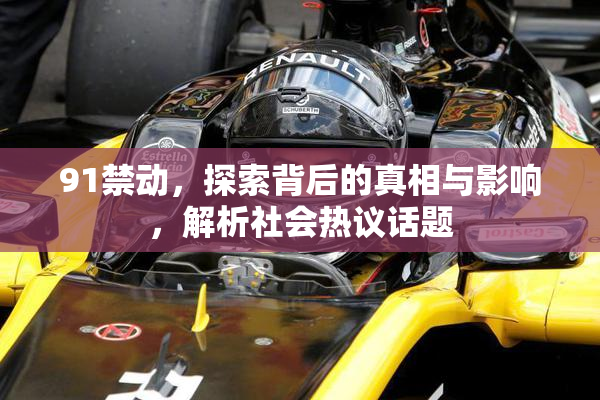 91禁动，探索背后的真相与影响，解析社会热议话题