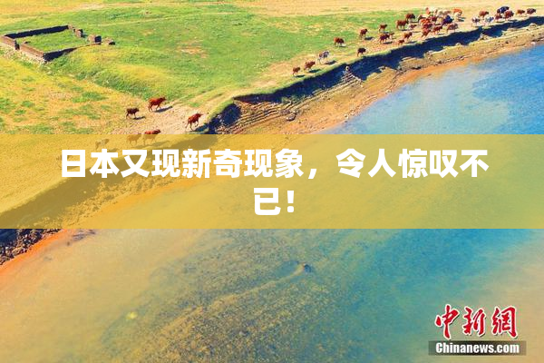 日本又现新奇现象，令人惊叹不已！