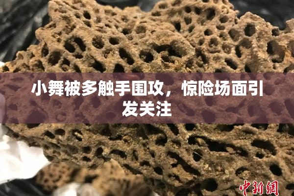 小舞被多触手围攻，惊险场面引发关注