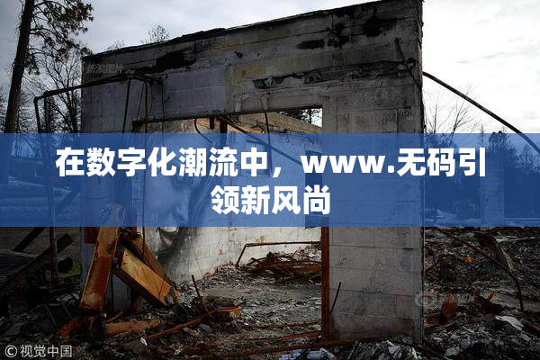 在数字化潮流中，www.无码引领新风尚