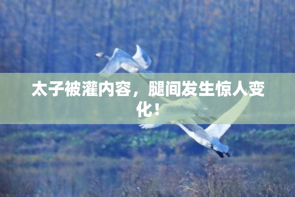 太子被灌内容，腿间发生惊人变化！