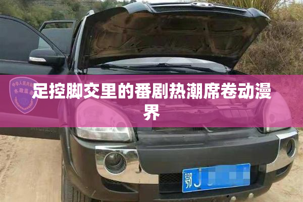 足控脚交里的番剧热潮席卷动漫界