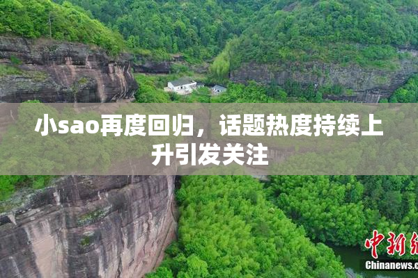 小sao再度回归，话题热度持续上升引发关注