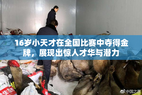 16岁小天才在全国比赛中夺得金牌，展现出惊人才华与潜力