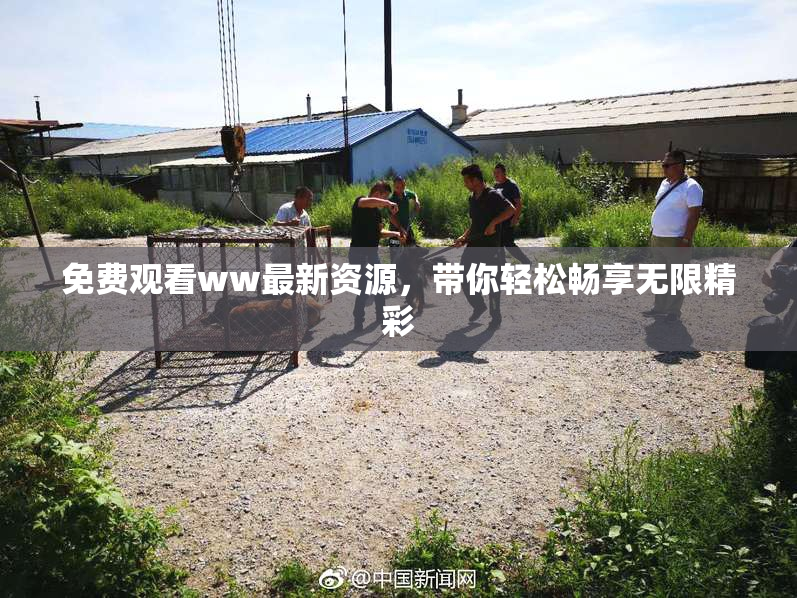 免费观看ww最新资源，带你轻松畅享无限精彩