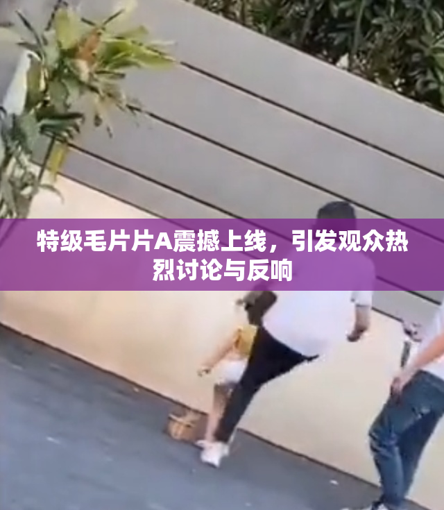 特级毛片片A震撼上线，引发观众热烈讨论与反响