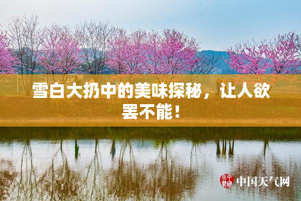 雪白大扔中的美味探秘，让人欲罢不能！