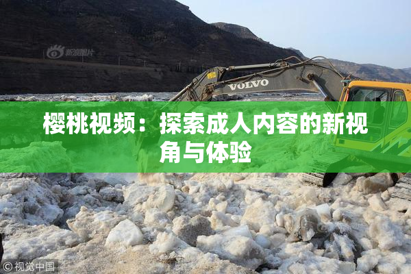 樱桃视频：探索成人内容的新视角与体验